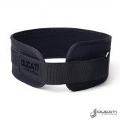 Weight Lifting Belt